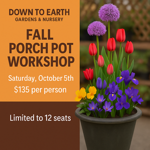 Fall Porch Pot Workshop – October 5th | $135 | Limited to 12 Seats