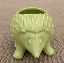 Load image into Gallery viewer, Product 8356315299975 Image
