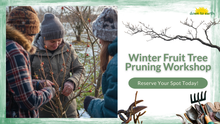 Load image into Gallery viewer, Winter Fruit Tree Pruning Workshop
