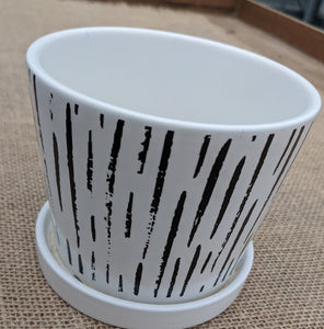 4" Cone with Fixed Saucer Zebra