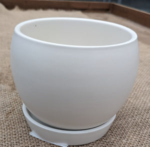 4" Open Coconut with Fixed Saucer Matte White