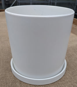 1 gallon Cylinder with Fixed Saucer