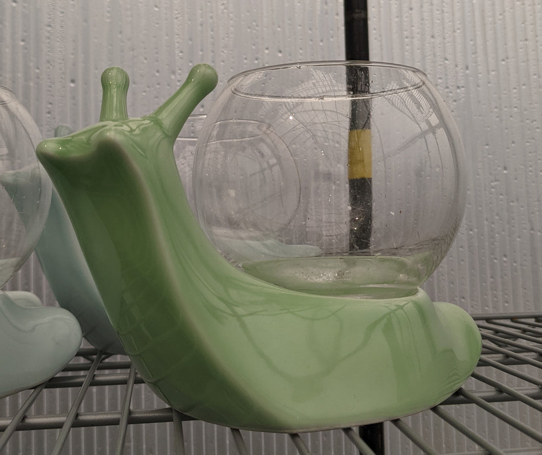 Snail with Glass Green