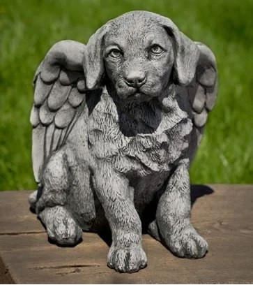 Angel Puppy-Campania