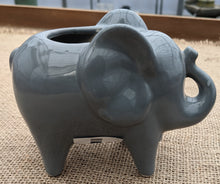 Load image into Gallery viewer, Grey Elephant Pot
